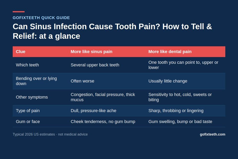 Can Sinus Infection Cause Tooth Pain? How to Tell & Relief at a glance