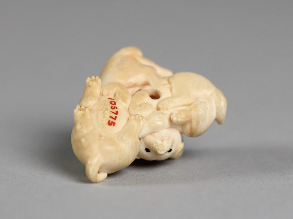 Dental model of the jaw used to plan crowns and veneers