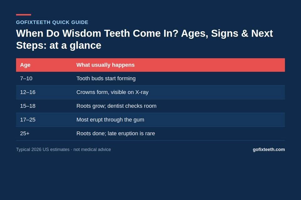 When Do Wisdom Teeth Come In? Ages, Signs & Next Steps at a glance